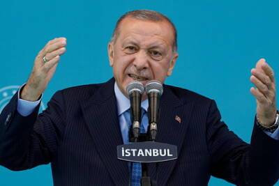 Оценена вероятность свержения Эрдогана после масштабных протестов в Турции