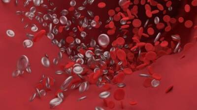 Ученые заявили, что коронавирус нарушает свертываемость крови и приводит к тромбозу