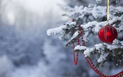 Арктические морозы ударят в Украине под Новый год - синоптик