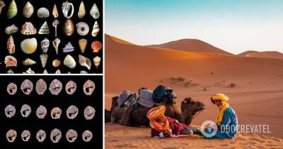 Археологи показали украшения, которым 150 тыс. лет – фото