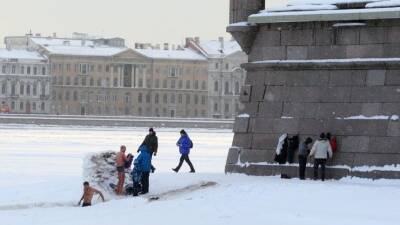 Петербургские моржи традиционно переплыли ледяную Неву