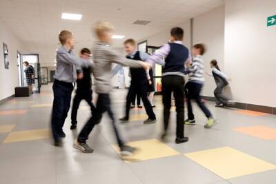 Детский омбудсмен Москвы анонсировала появление в школах служб примирения