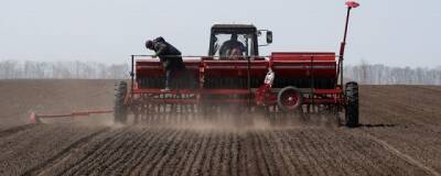 Озимыми зерновыми в КЧР планируют засеять 25 тысяч гектаров