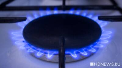 Газпром в виде исключения не будет отключать Молдавию от газа