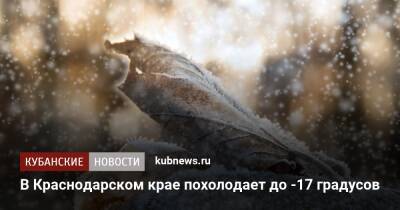 В Краснодарском крае похолодает до -17 градусов