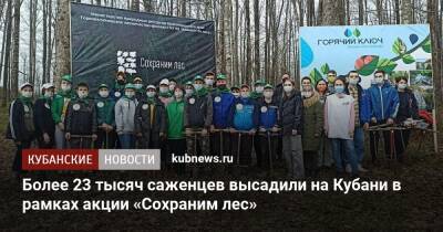 Более 23 тысяч саженцев высадили на Кубани в рамках акции «Сохраним лес»