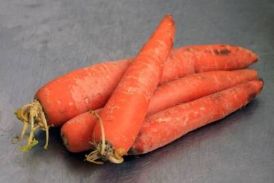 В России впервые с июня подорожала морковь