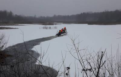 В Тверской области спасли замерзающих на реке лебедят