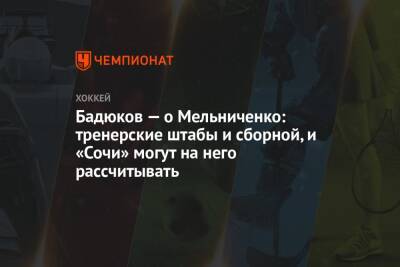 Бадюков — о Мельниченко: тренерские штабы и сборной, и «Сочи» могут на него рассчитывать
