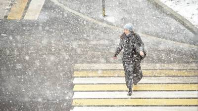 Почти два миллиметра снега выпало в Москве в среду
