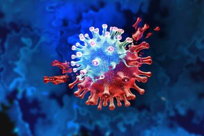 В Африке появился «ужасающий» штамм коронавируса