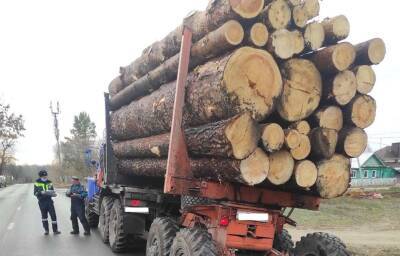 В регионе выявили пять фактов незаконной рубки леса