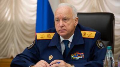 Глава СК поручил проверить информацию о сбитом лосе в Московской области