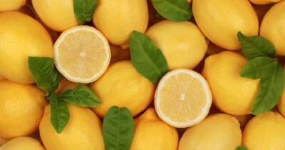 Диетолог раскрыл опасность частого употребления лимона