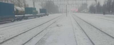 В Новосибирской области поезд сбил насмерть 64-летнюю женщину