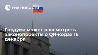 Госдума может рассмотреть правительственные законопроекты о QR-кодах 16 декабря