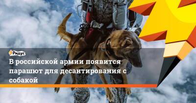 В российской армии появится парашют для десантирования с собакой