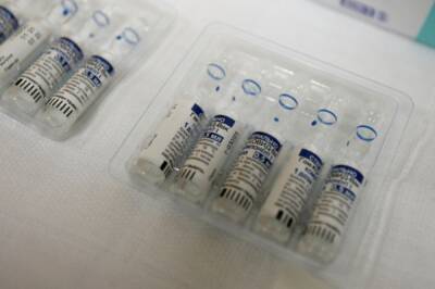Гинцбург рассказал о масштабах производства вакцин «Спутник»