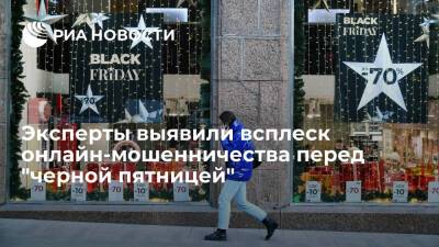 Глава ОНФ Лазарева: в преддверии "черной пятницы" наблюдается всплеск онлайн-мошенничества
