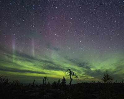 В небе над соседней Карелией запечатлели северное сияние — фото