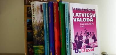 "Патриоты, на помощь!" Власти Латвии сравнили латышский с телесными наказаниями
