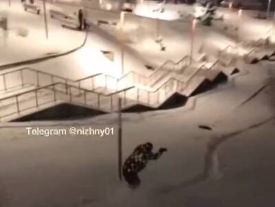 Сноубордисты опробовали склон на набережной Федоровского