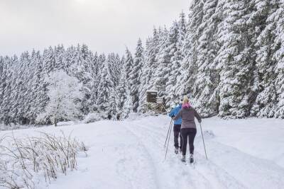 Казанцев пригласили покататься на лыжах в Горкинско-Ометьевском лесу