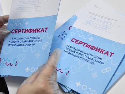 В Воронежской области возбудили 11 дел за подделку COVID-сертификатов