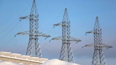 Украина сможет отказаться от импорта электричества только через несколько лет