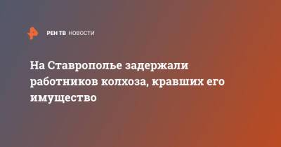 На Ставрополье задержали работников колхоза, кравших его имущество - ren.tv - Россия - Ставрополье