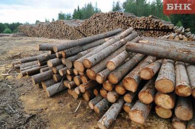 В конкурсе на аренду огромных лесных участков в Коми промышленных гигантов обошла компания из Нижнего Одеса