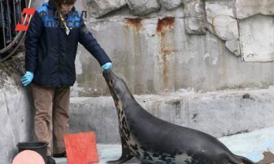 Калининградский зоопарк потерял около половины посетителей из-за введения QR-кодов