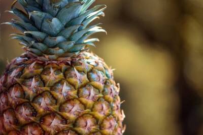 Нутрициолог Ирина Степная: худеющим нужно съедать не более 150 граммов ананаса в день