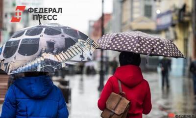 В Петербурге снег перейдет в дождь