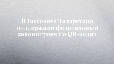 В Госсовете Татарстана поддержали федеральный законопроект о QR-кодах
