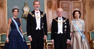 королева Летиция - Летиция Королева - король Карл XVI (Xvi) - Королева Летиция появилась в платье от H&M на приеме у шведского короля - focus.ua - Украина - Швеция - Испания