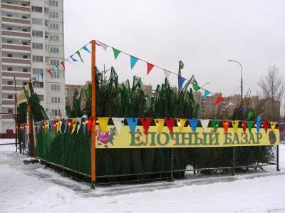 В Ульяновске с 15 декабря заработают 26 ёлочных базаров. Опубликованы адреса
