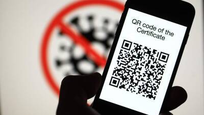 Депутат оценил предложение выдавать QR-коды еще двум категориям граждан