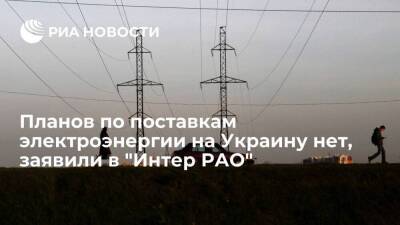 Топ-менеджер "Интер РАО" Панина: Россия не планирует поставлять электроэнергию на Украину