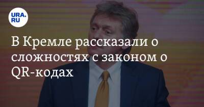 В Кремле рассказали о сложностях с законом о QR-кодах. «Не навредить экономике»