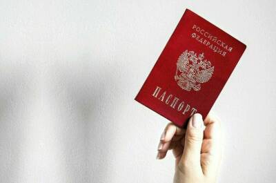 МВД: порядка 700 тысяч иностранцев могут получить гражданство России до конца года