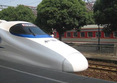 В Китае построят крылатый поезд