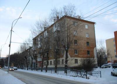14-летний подросток в Екатеринбурге нанес матери 10 ударов ножом