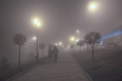 На выходных в Ростове-на-Дону прогнозируют туман