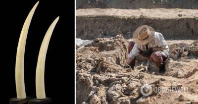 Археологи нашли в Китае лопату из слоновой кости, которой 99 тыс. лет