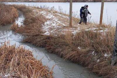 Экологи взяли пробы воды из реки Дон под Тулой
