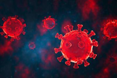 Четвертая волна пандемии COVID-19 пошла на спад на фоне вакцинации