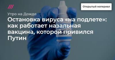 Остановка вируса «на подлете»: как работает назальная вакцина, которой привился Путин