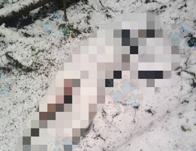 Труп мужчины, присыпанный снегом, обнаружил лесник рядом с Форносово