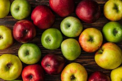 Диетолог рассказал, кому нельзя есть яблоки с кожурой